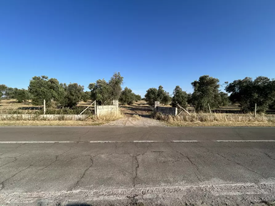Immagine 1 di Terreno in vendita  in sp 343 a Vernole