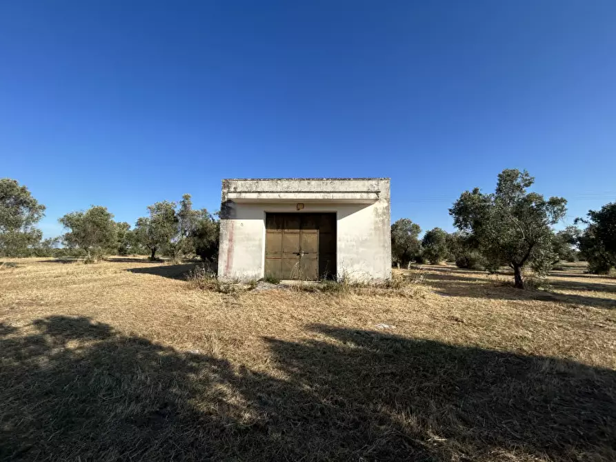 Immagine 4 di Terreno in vendita  in sp 343 a Vernole