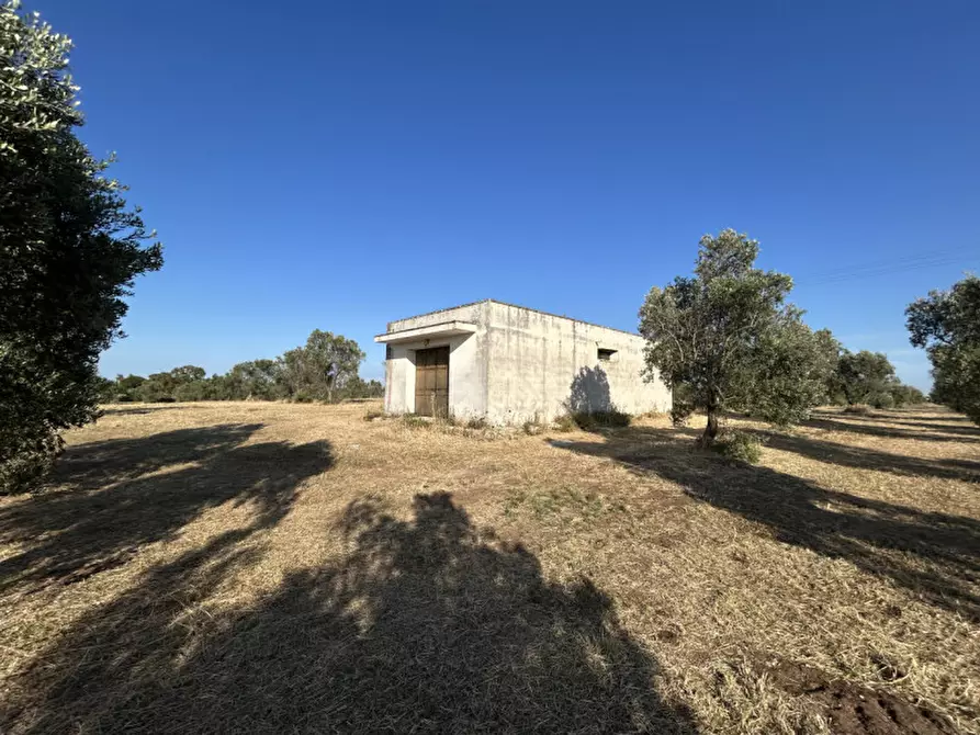 Immagine 5 di Terreno in vendita  in sp 343 a Vernole