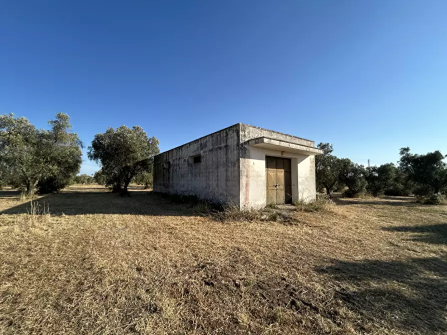 Immagine 6 di Terreno in vendita  in sp 343 a Vernole