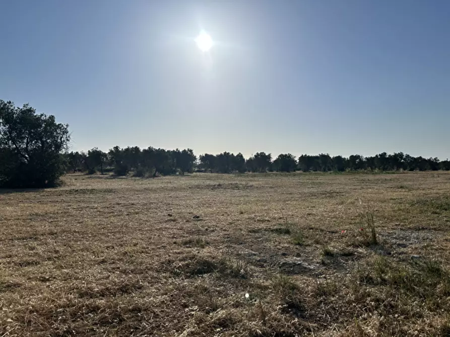 Immagine 10 di Terreno in vendita  in sp 343 a Vernole