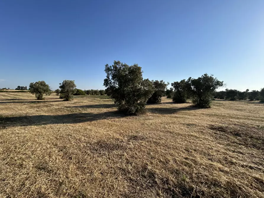 Immagine 11 di Terreno in vendita  in sp 343 a Vernole