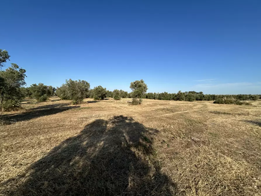 Immagine 14 di Terreno in vendita  in sp 343 a Vernole