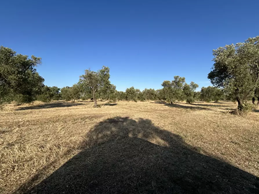 Immagine 15 di Terreno in vendita  in sp 343 a Vernole