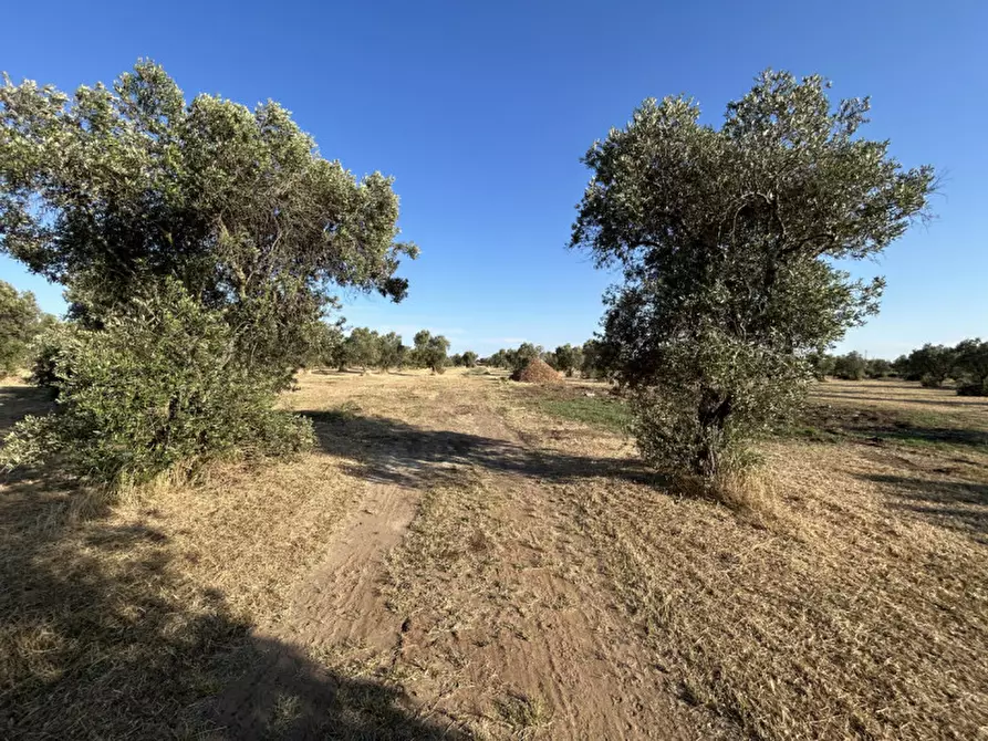Immagine 17 di Terreno in vendita  in sp 343 a Vernole