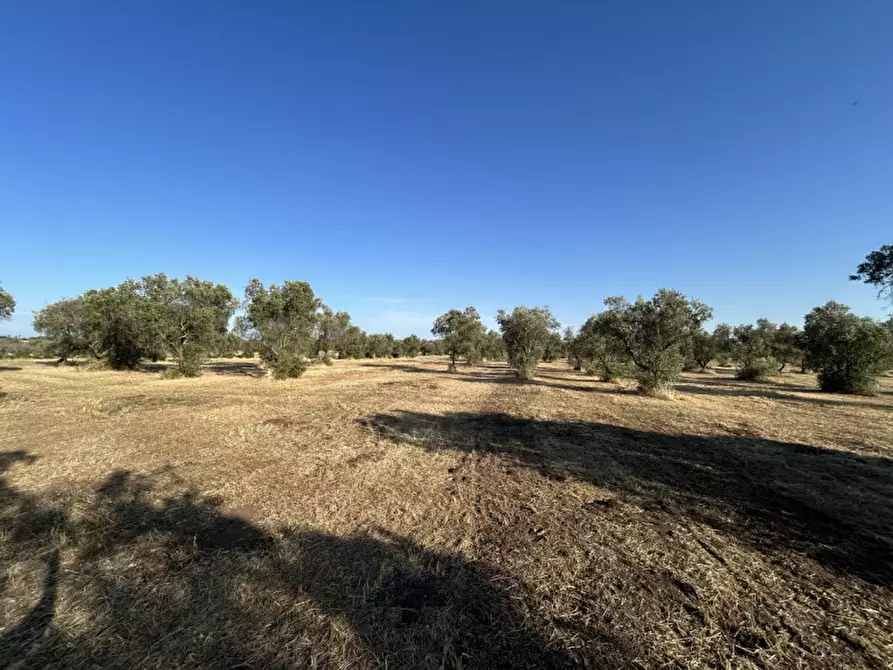 Immagine 18 di Terreno in vendita  in sp 343 a Vernole