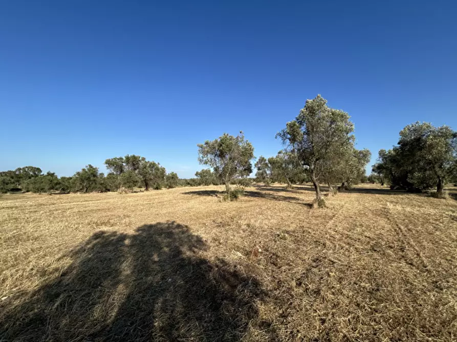 Immagine 19 di Terreno in vendita  in sp 343 a Vernole
