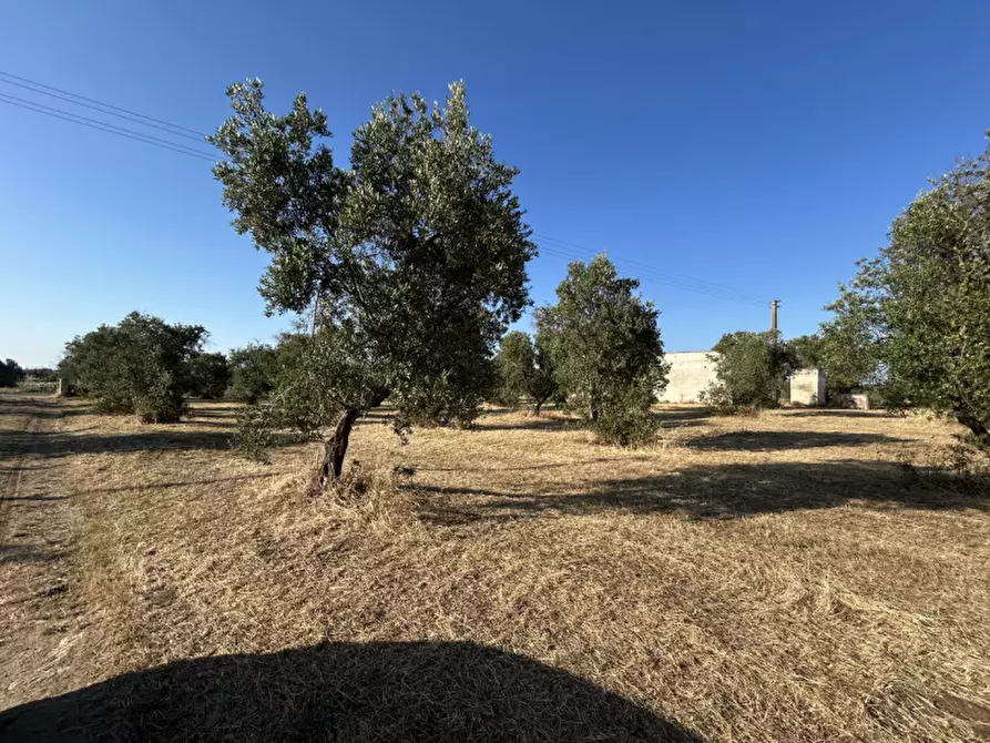 Immagine 22 di Terreno in vendita  in sp 343 a Vernole