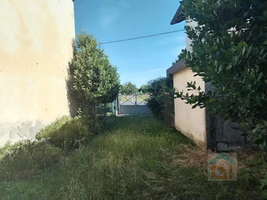 Immagine 8 di Casa indipendente in vendita  in via della vittoria 8 a Bagnaria Arsa
