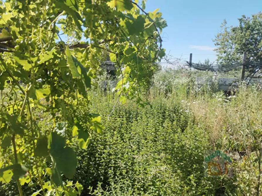Immagine 9 di Casa indipendente in vendita  in via della vittoria 8 a Bagnaria Arsa