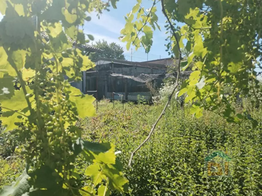 Immagine 11 di Casa indipendente in vendita  in via della vittoria 8 a Bagnaria Arsa