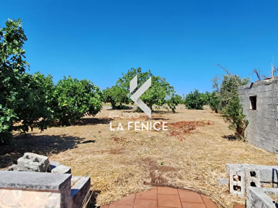 Immagine 36 di Rustico / casale in vendita  in caliandro a Martina Franca