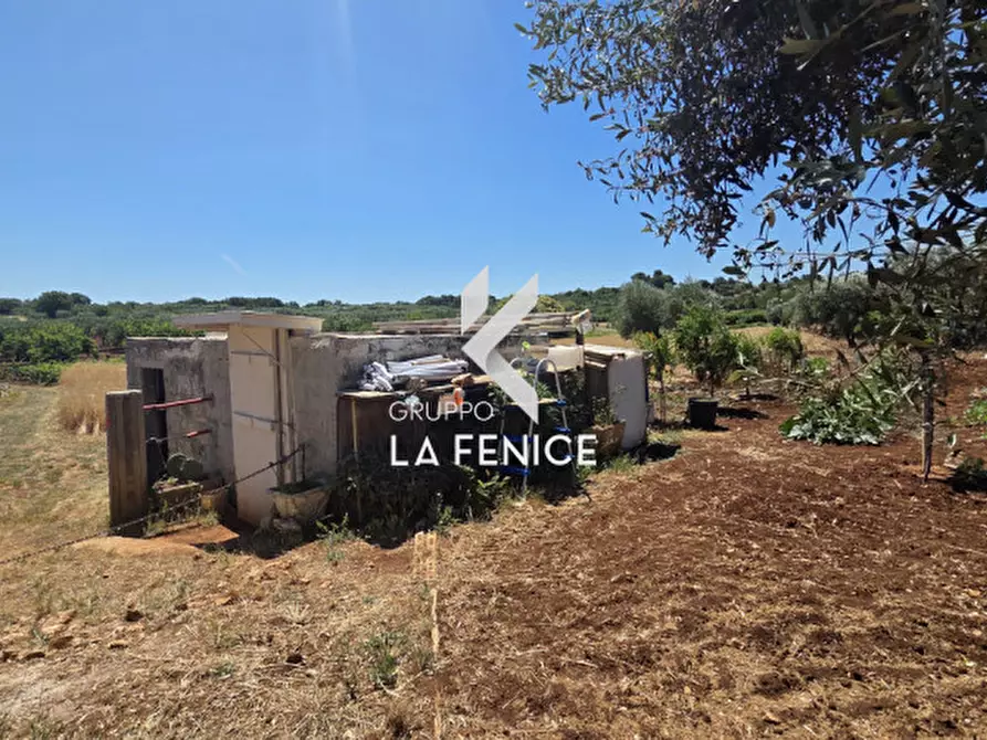 Immagine 5 di Terreno in vendita  in contrada Pasqualone a Locorotondo