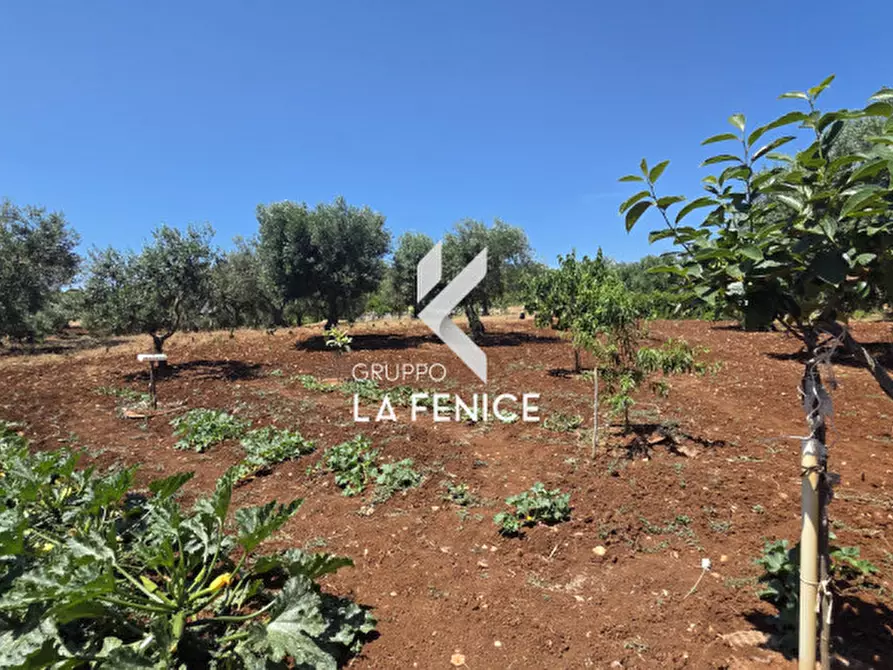 Immagine 7 di Terreno in vendita  in contrada Pasqualone a Locorotondo