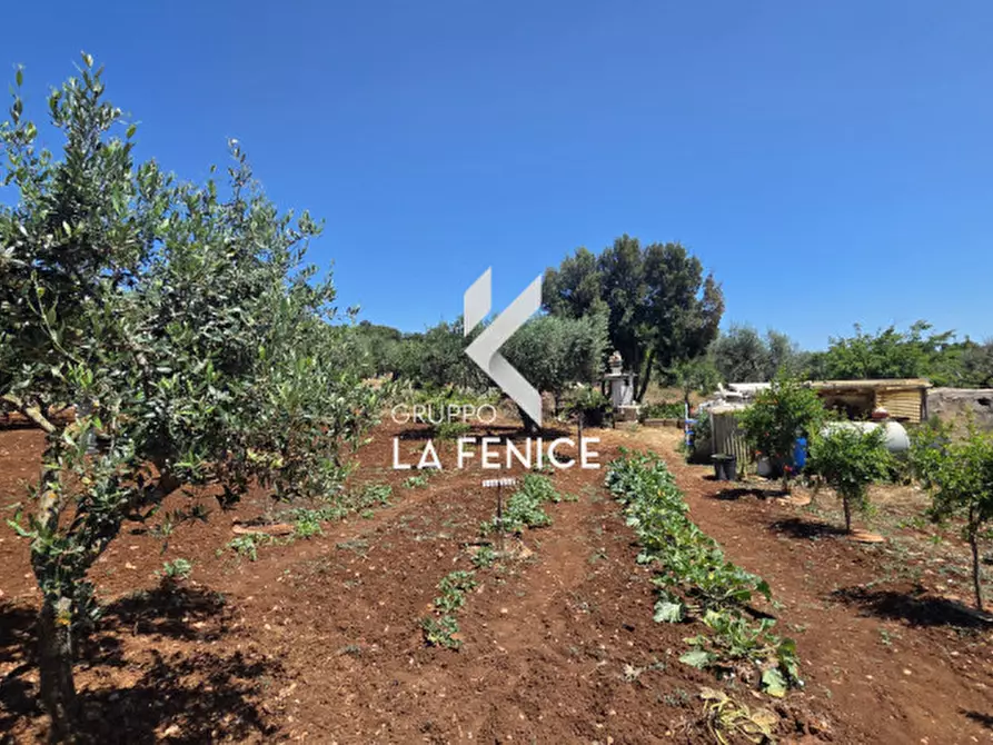 Immagine 10 di Terreno in vendita  in contrada Pasqualone a Locorotondo