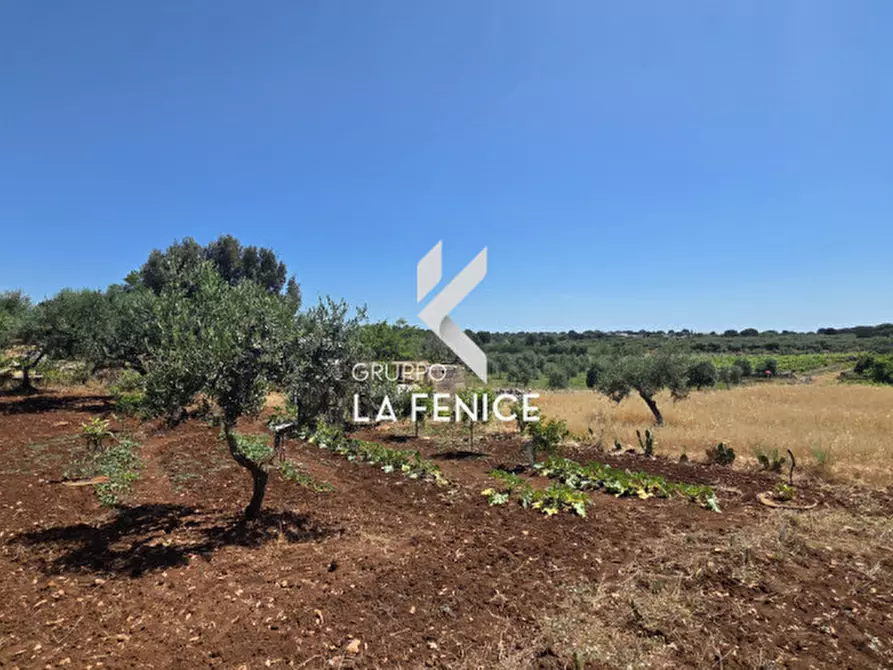 Immagine 14 di Terreno in vendita  in contrada Pasqualone a Locorotondo