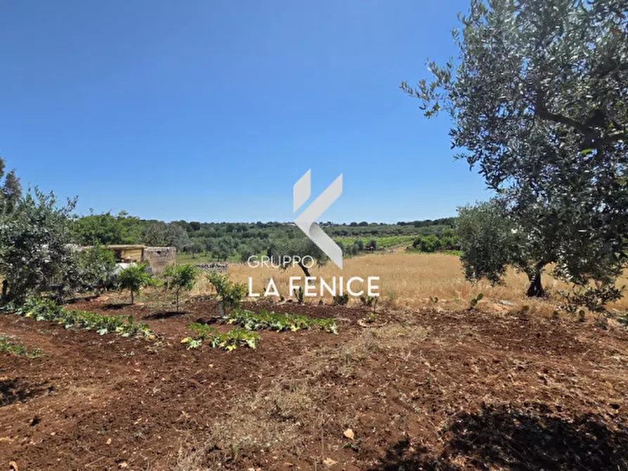 Immagine 15 di Terreno in vendita  in contrada Pasqualone a Locorotondo