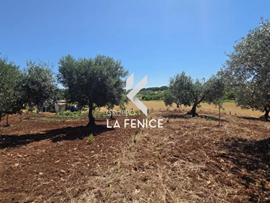 Immagine 20 di Terreno in vendita  in contrada Pasqualone a Locorotondo