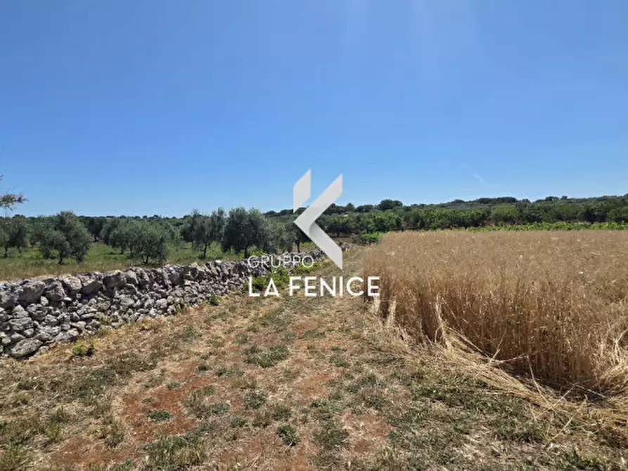 Immagine 21 di Terreno in vendita  in contrada Pasqualone a Locorotondo