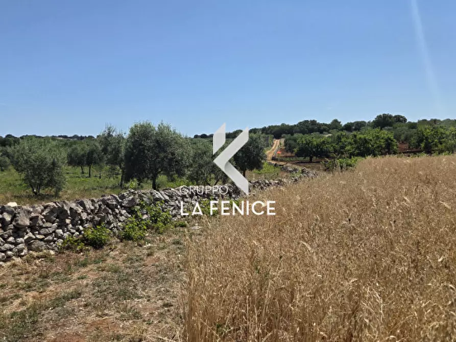 Immagine 22 di Terreno in vendita  in contrada Pasqualone a Locorotondo