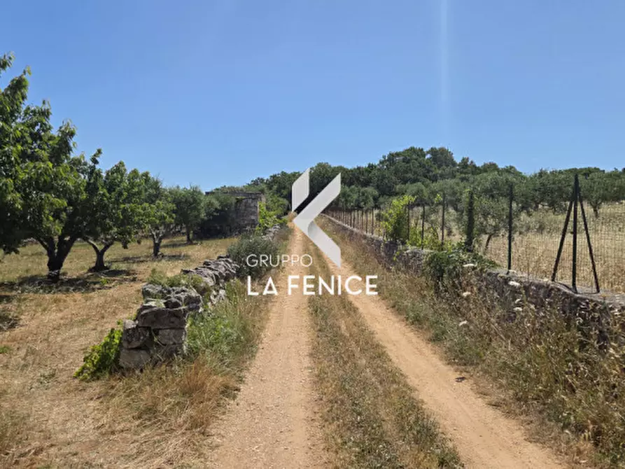 Immagine 23 di Terreno in vendita  in contrada Pasqualone a Locorotondo