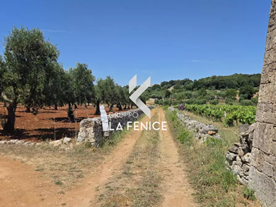 Immagine 24 di Terreno in vendita  in contrada Pasqualone a Locorotondo