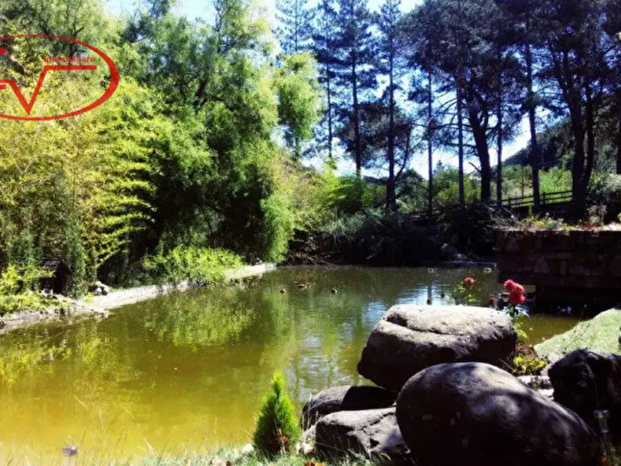 Immagine 4 di Villa in vendita  in Via di Terranuova a Terranuova Bracciolini