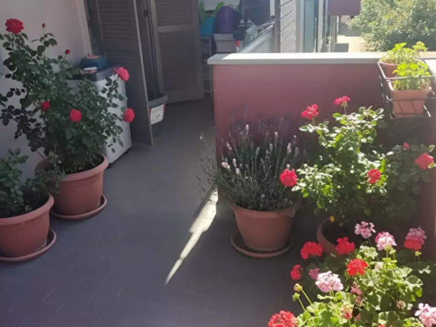 Immagine 1 di Appartamento in vendita  in Via Renuccio Renucci a Livorno