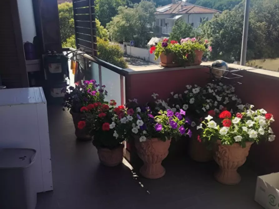 Immagine 2 di Appartamento in vendita  in Via Renuccio Renucci a Livorno