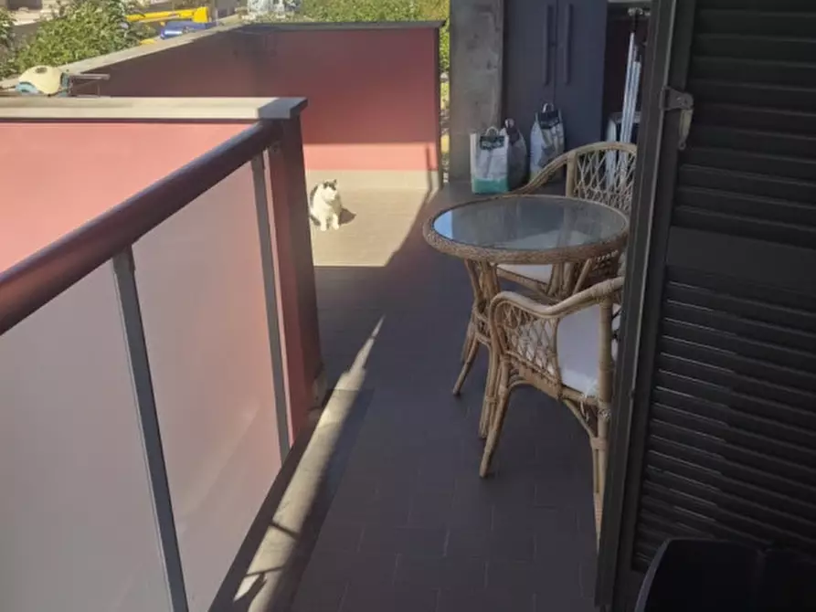 Immagine 5 di Appartamento in vendita  in Via Renuccio Renucci a Livorno