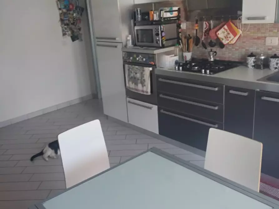 Immagine 8 di Appartamento in vendita  in Via Renuccio Renucci a Livorno