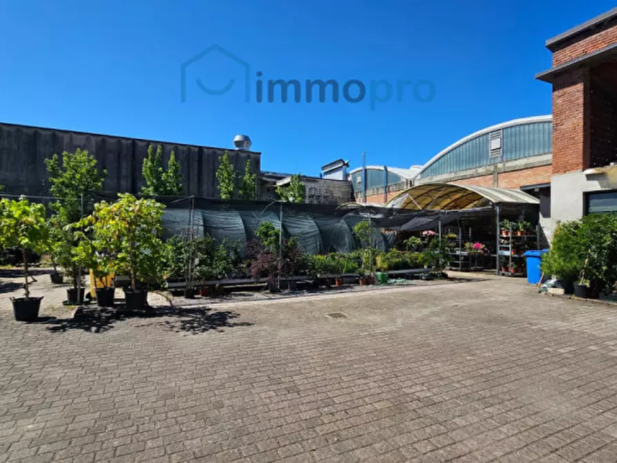 Immagine 2 di Casa indipendente in vendita  in Via Beato Bonifacio nr. 14 a Rivarolo Canavese