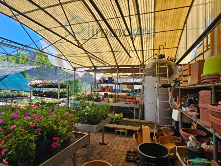 Immagine 10 di Casa indipendente in vendita  in Via Beato Bonifacio nr. 14 a Rivarolo Canavese