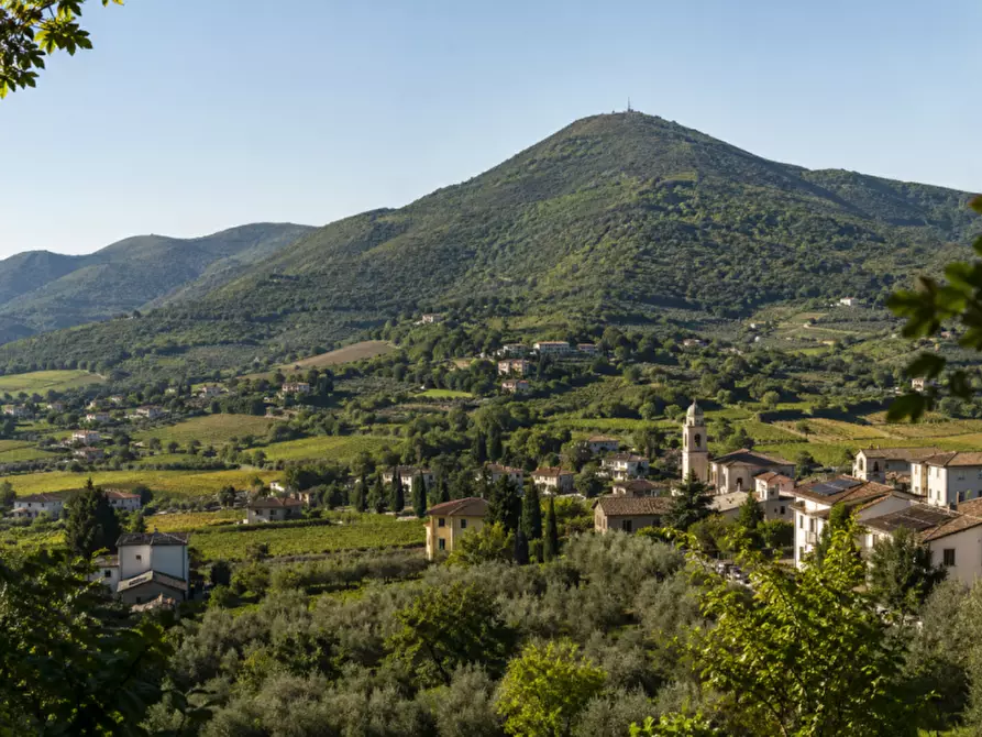 Immagine 1 di Casa indipendente in vendita  a Baone
