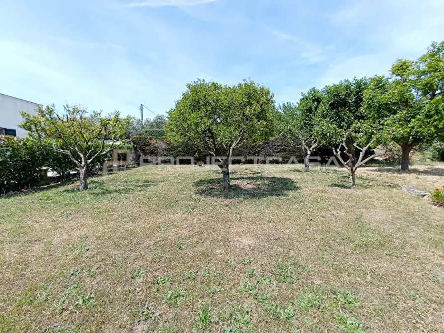 Immagine 27 di Villa in vendita  a Cutrofiano