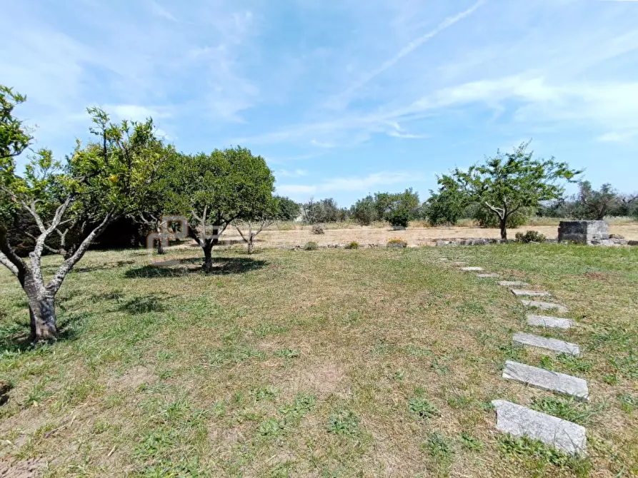 Immagine 28 di Villa in vendita  a Cutrofiano