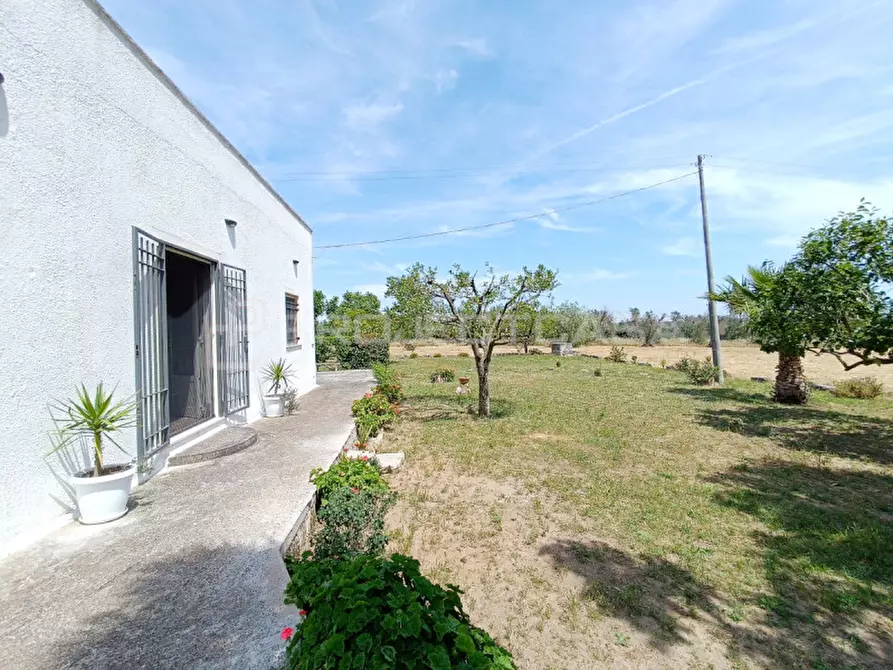 Immagine 29 di Villa in vendita  a Cutrofiano