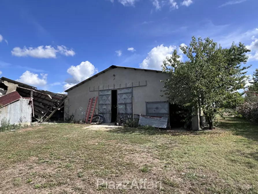 Immagine 4 di Rustico / casale in vendita  in Brugine a Brugine