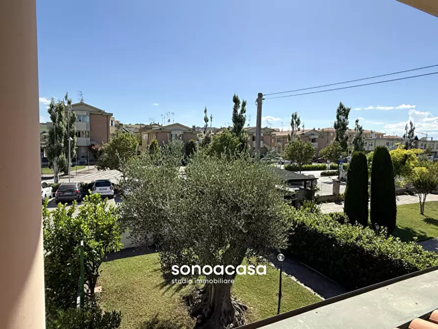 Immagine 21 di Casa bifamiliare in vendita  in Via Paolo Ferrari, 11 a Mondolfo