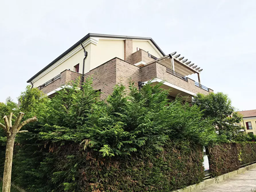 Immagine 11 di Appartamento in vendita  a Noventa Padovana
