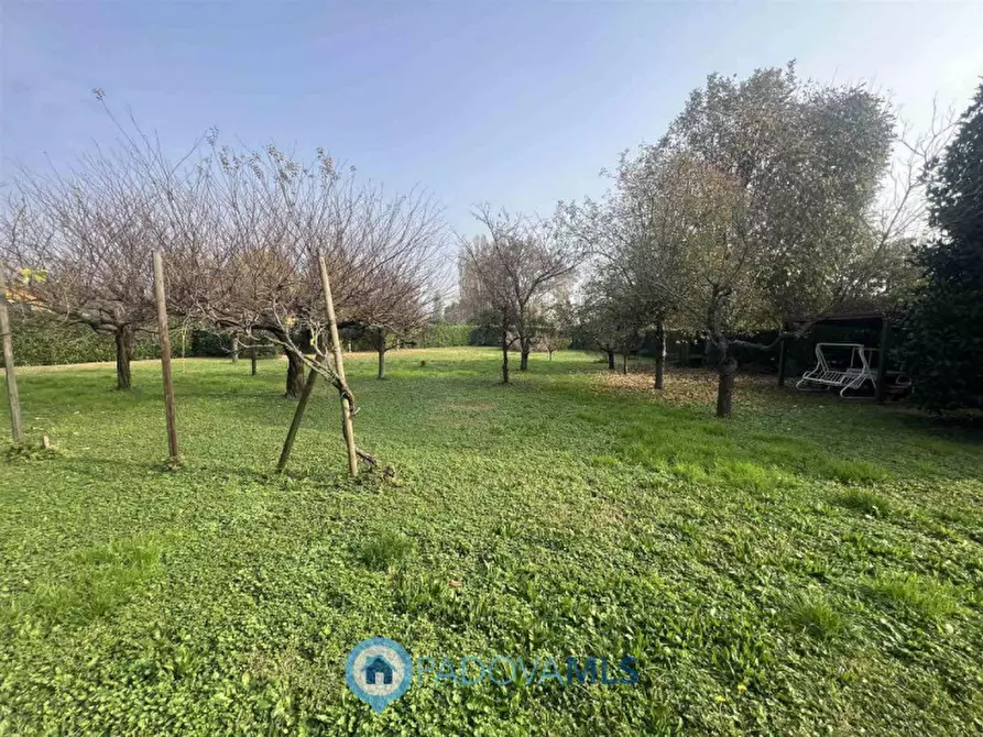 Immagine 1 di Terreno in vendita  in Via Guglielmo Marconi a San Pietro Viminario