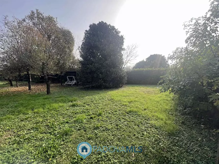 Immagine 2 di Terreno in vendita  in Via Guglielmo Marconi a San Pietro Viminario