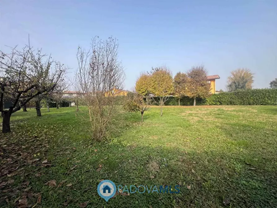 Immagine 4 di Terreno in vendita  in Via Guglielmo Marconi a San Pietro Viminario