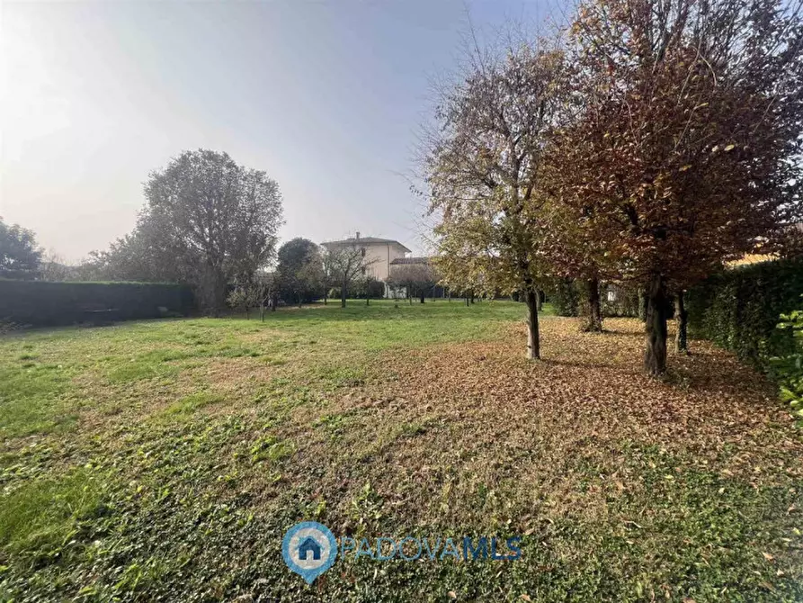 Immagine 5 di Terreno in vendita  in Via Guglielmo Marconi a San Pietro Viminario