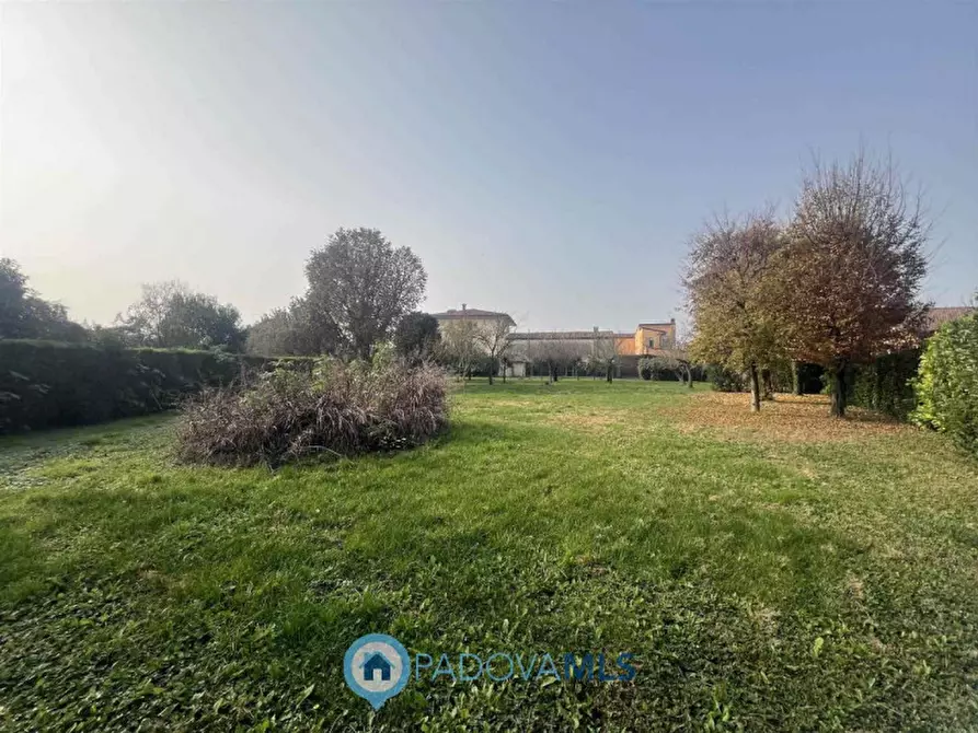 Immagine 6 di Terreno in vendita  in Via Guglielmo Marconi a San Pietro Viminario