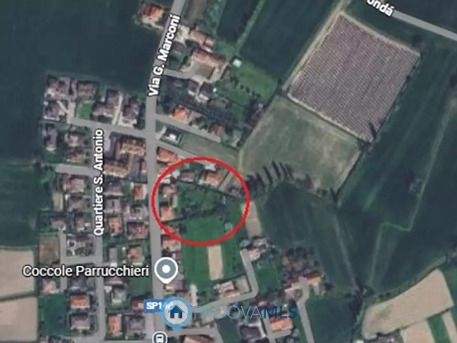 Immagine 9 di Terreno in vendita  in Via Guglielmo Marconi a San Pietro Viminario