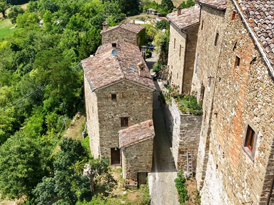 Immagine 4 di Casa indipendente in vendita  in Monastero a Piandimeleto