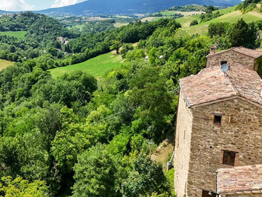 Immagine 33 di Casa indipendente in vendita  in Monastero a Piandimeleto