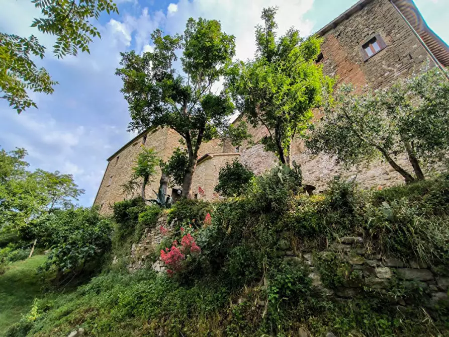 Immagine 36 di Casa indipendente in vendita  in Monastero a Piandimeleto