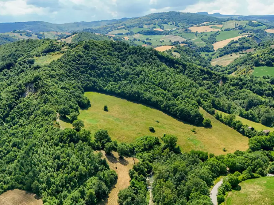 Immagine 38 di Casa indipendente in vendita  in Monastero a Piandimeleto